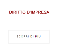 DIRITTO IMPRESA